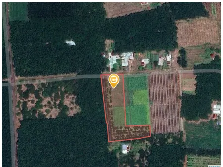 0814 313131 Bán đất 3945m² giá 850 triệu Xã Đồng Phú