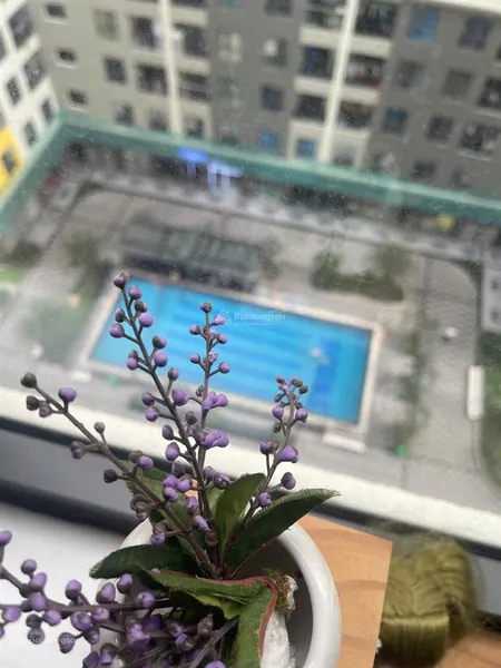 Cần bán gấp 1pn tầng đẹp, view thoáng, phù hợp cho gia đình trẻ, ngân hàng cho vay 70%
