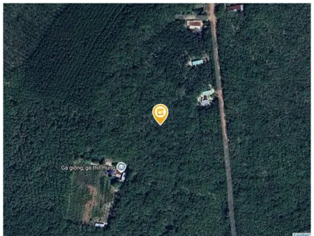 Bán đất 2000m² ngang 20m giá 1.45 tỷ tại Xã Suối Ngô Huyện Tân Châu