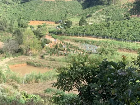 giảm giá kich sàn