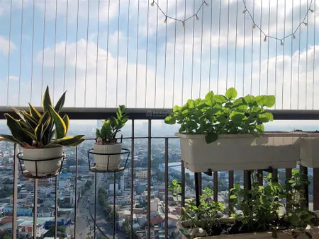 (duy nhất) 1 căn 73m2, giá 2.95 tỷ view đông nam, landmark 81 tại opal boulevard