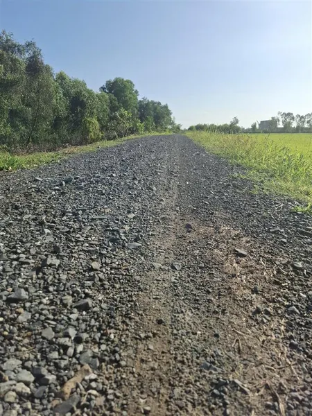 Bán đất tại xã bình thành, đức huệ, long an, 3,7 tỷ, 22.000 m2 chính chủ hot!