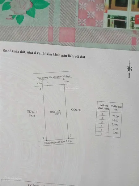 Bán đất 250m2 khu phố đồng mát, tân an giá đầu tư đón sóng dự án hạ long xanh