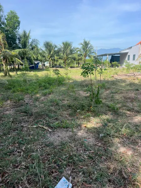 0763615365 Bán đất 500m² ngang 10,5m giá 2.5 tỷ Phường Hòa Thắng