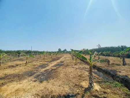 Đất Bình Lợi Vĩnh CửuDiện tích : 3.779m. Lô gốc 2 Mặt Tiền