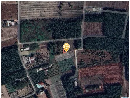 Bán đất 159m² giá 800 triệu Xã Nhơn Trạch