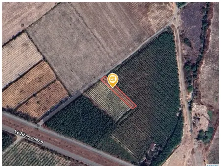 Bán đất 1000.8m² Xã Phước An
