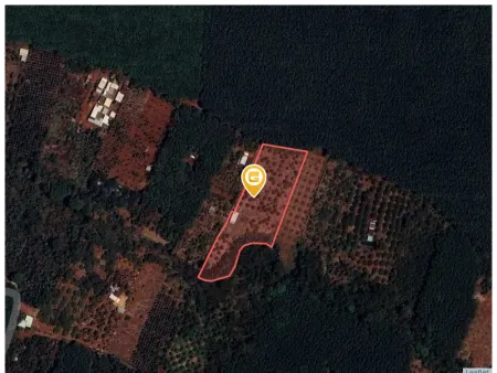 Bán đất 5302.1m² giá 7 tỷ Xã Cẩm Mỹ
