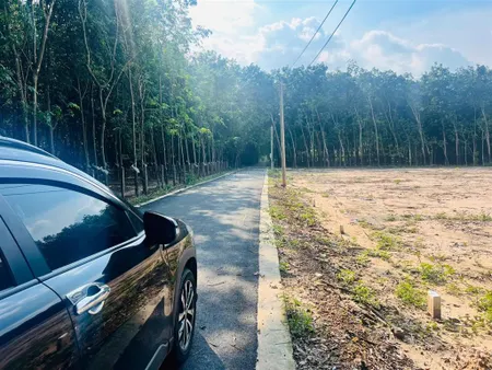 Bán 1000m2 mặt tiền đường nhựa , sổ sẵn dân đông minh tân dầu tiếng giá chỉ 6xxtr