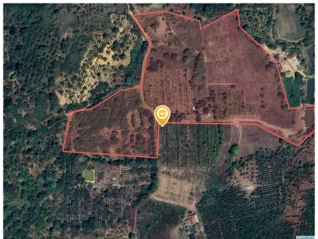 Bán đất 44000m² ngang 1000m giá 15 tỷ Phường Ea Kao