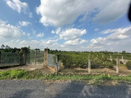 4683m2 đất vườn mt kênh 2, Vườn Thơm, xã Bình Lợi, Bình Chánh giá 9,84 tỷ