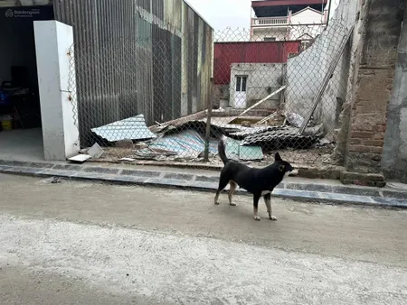 Bán đất 53m2 ngọc chi vĩnh ngọc, đông anh, mặt tiền 4.13m, ngõ ô tô, gần dự án thành phố thông minh