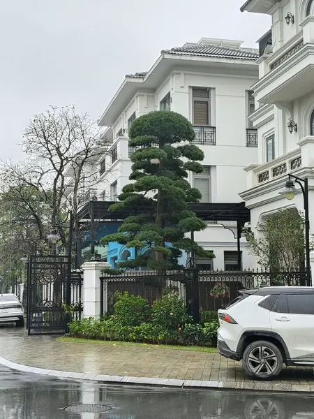 BT HƯỚNG DƯƠNG - VINHOMES HARMONY - LONG BIÊN - XÂY THÔ HOÀN THIỆN MẶT NGOÀI.