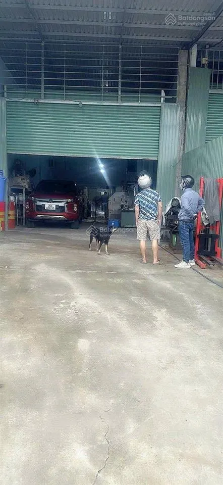 Chính chủ cần bán kho xưởng 200m. 100m thổ. có điện 3pa sẵn. ngang 6m.ở tân bình, dĩ an. dường 7m