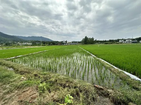 Bán đất 64 thôn thái lai, xã minh trí, sóc sơn 730m2, mặt tiền 12m, giá 650 triệu. mặt ngõ thông