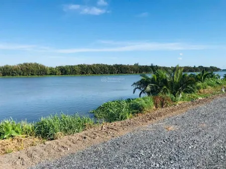 Mặt tiền sông vàm cỏ đất thổ và vườn thích hợp đầu tư làm nhà vườn thu giãn cuối tuần