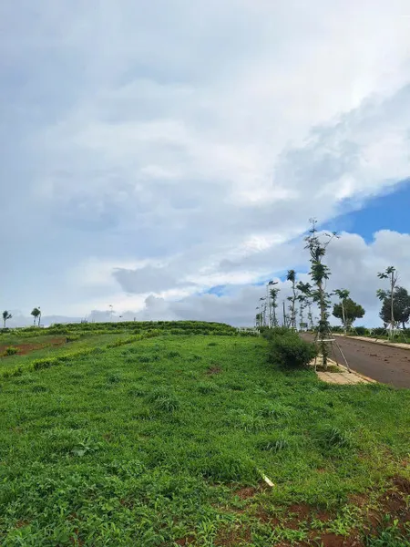Bán Nhanh 3 Lô Đất Đẹp – Di Linh, Lâm Đồng – Giá Chỉ 699 Triệu/Nền – Xây Tự Do!