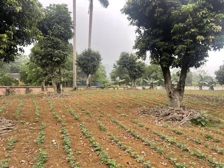 Bán đất tại xã thuỷ xuân tiên, chương mỹ, hà nội, giá tốt 3 triệu/m2, 4320 m2 ont 200m2