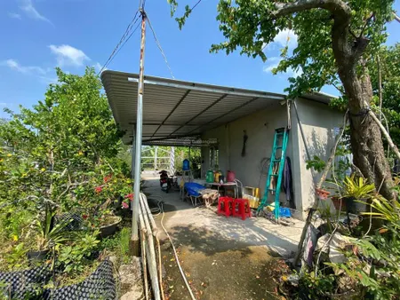 Chính chủ bán đất vườn sầu riêng blackthorn 13.000m2 mỹ hiệp, cao lãnh, đồng tháp