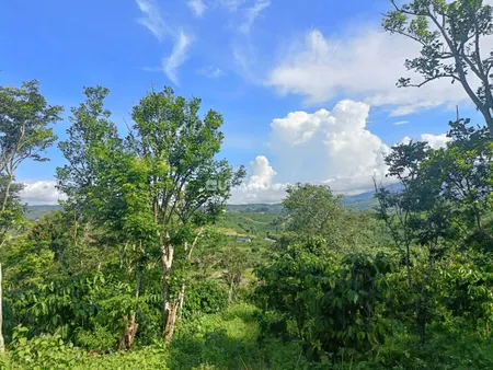 20ha đất trang trại cho bất động sản nông nghiệp đa dụng
