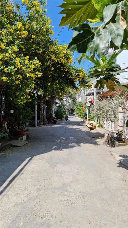 Đất lê văn lương, nhơn đức. giá 4.9 tỷ. nhà bè