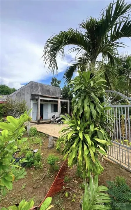 Chuyển công tác cần bán gấp lô đất 544m2 giá 450 triệu bao ra sổ