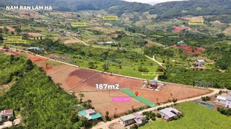 Đất ven đà lạt giá chỉ 570 triệu, shr, view đồi thông mát mẻ