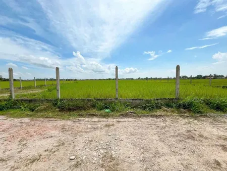 Bán đất 1011.8m² ngang 23m giá 1.39 tỷ Xã Mỹ Hạnh