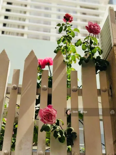 Nhà đẹp ngô quyền, hiệp phú, thủ đức ngang hiếm 5m, hẻm xe hơi, 87m2, chỉ 8.8 tỷ