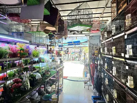 67m2x 4 tầng mặt tiền đỗ xuân hợp q9 dòng tiền ổn định 250tr/ năm giá chỉ 9 tỷ(tl)