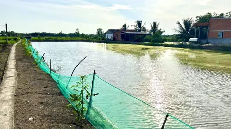 Bán đất 1280m² giá 576 triệu Xã Tân Tập