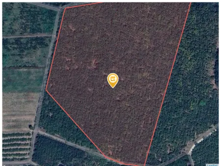 Bán đất 75288.8m² ngang 243m giá 215.33 tỷ Xã Bàu Lâm