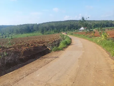 bán đất đỏ bám đường bê tông quy hoạch lên thổ cư