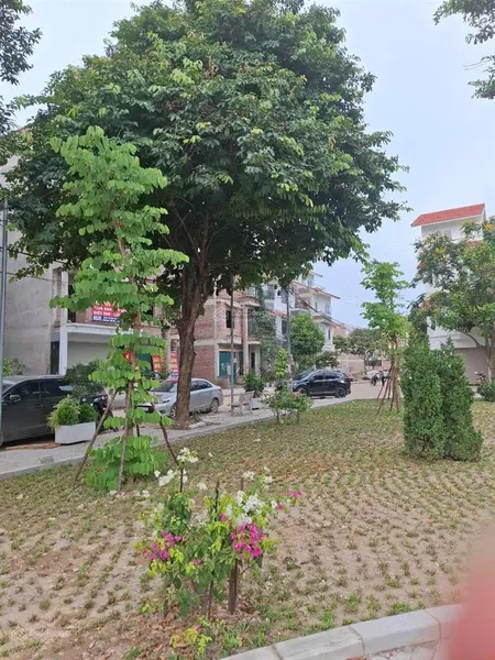 Bán liền kề tân lập cienco 5, 10 tỷ, 65m2