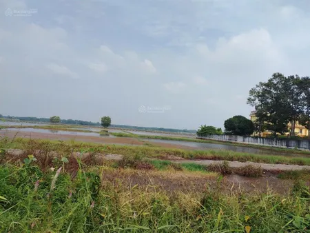Mặt tiền ql22b, gò dầu, tây ninh, 6050m2, có 1800m2 thổ cư, mt 35 m