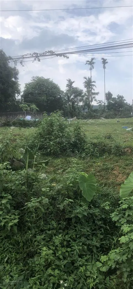 Chính chủ cần bán mảnh đất mặt đường dt446 xã yên bình, thạch thất, hà nội, dt 394m², mt 15m