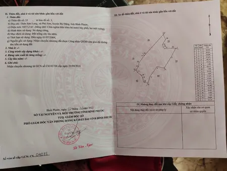 Bán đất đồi CLN hiện đang trồng điều, view đẹp thoáng mát