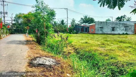 Đất vườn 1000m2 mặt tiền Ba Chả, phủ hồng toàn bộ, Hưng Long, Bình Chánh