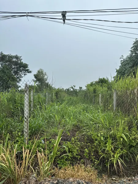 Bán 238m2 đất ODT mặt tiền Út An, Khu vực 4, thị trấn Đức Hoà, Long An, giá đầu tư