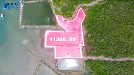 Tin được không! mặt biển du lịch bắc vân phong phân khu 4 vĩnh yên chỉ 399 ngàn/m2