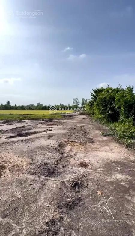 Chính chủ bán đất mặt tiền sông vàm cỏ đông