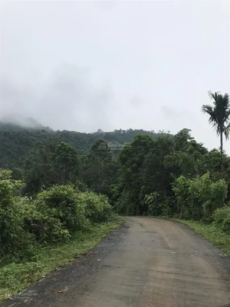 Siêu hot! kim bôi hoà bình, 1000m2, 200tc, mt 25m, ô tô tránh,gần khu dl sinh thái, 1,1 tỷ