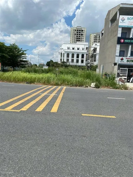 Chính chủ bán gấp lô 100m2 đ.trần đại nghĩa, bình chánh gần kcn lê minh xuân, gần đường 30m đang mở
