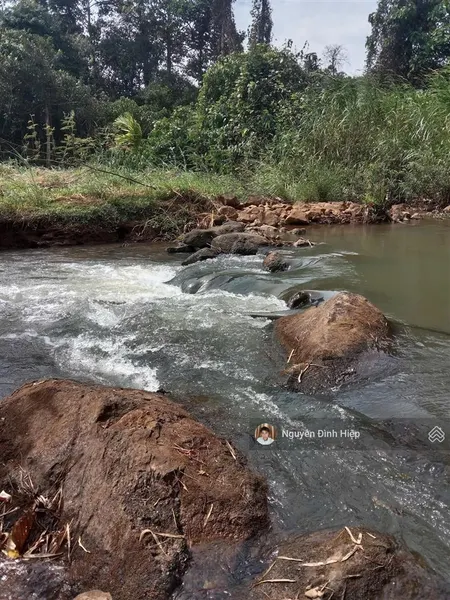 Bán đất quảng tân, 2.4ha, ôm suối thác đảo, nhà vườn sầu riêng view đẹp, 2.4ha giá 1.8 tỷ
