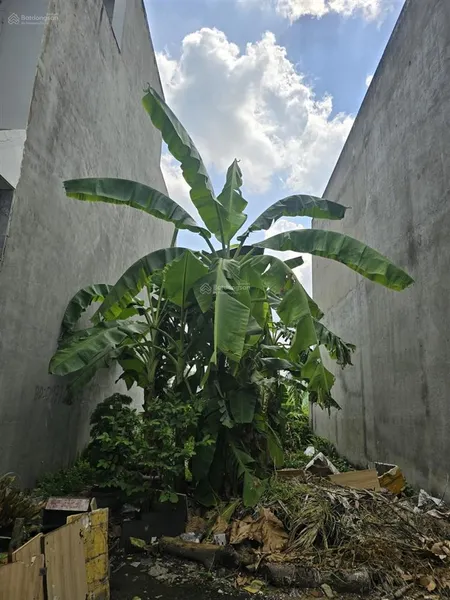 Đất hxh 80m2, n5.4m, khu phân lô ngay chợ tăng nhơn phú, đình phong phú, p tnp b. giá chỉ 5.4 đồng.