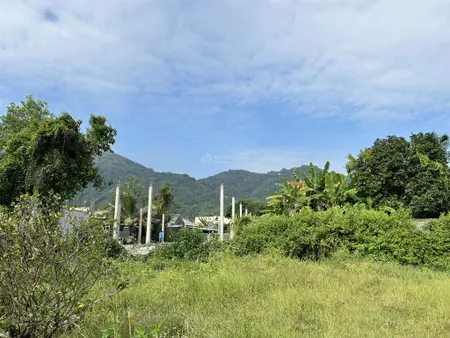 Bán 2 nền đất thổ cư (250m2) và 1 vườn xoài (3600m2)
