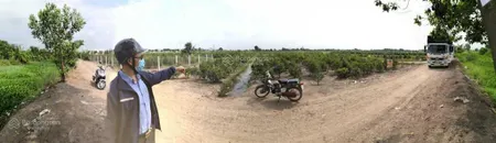 Bán đất vườn thơm bình lợi bình chánh 2ha (20.000m2)