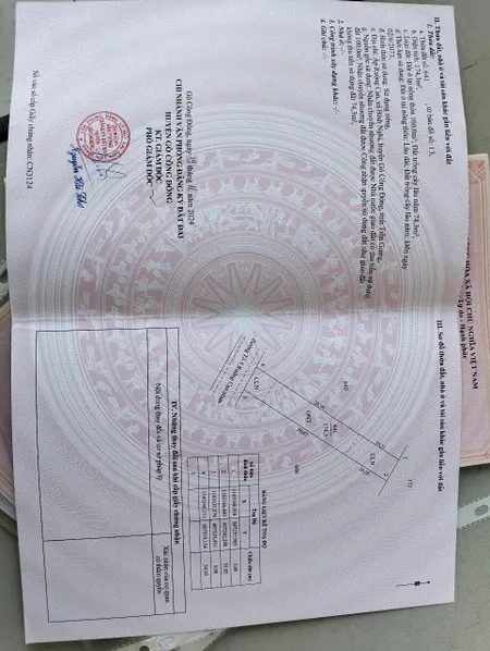 Bán gấp