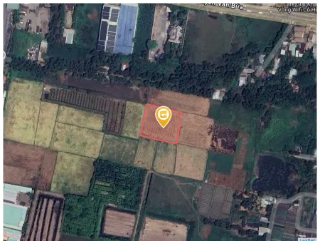Bán đất 2493.6m² ngang 50m giá 10 tỷ Xã Bà Điểm