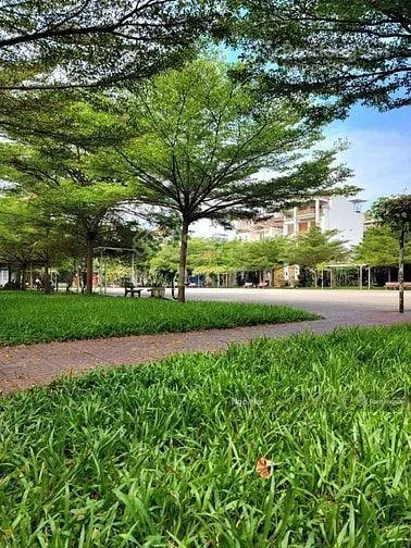 Bán gấp lô đất đường 12m sát mt đặng thuỳ trâm, phường 13, bình thạnh 4x20m 11,2 tỷ tl